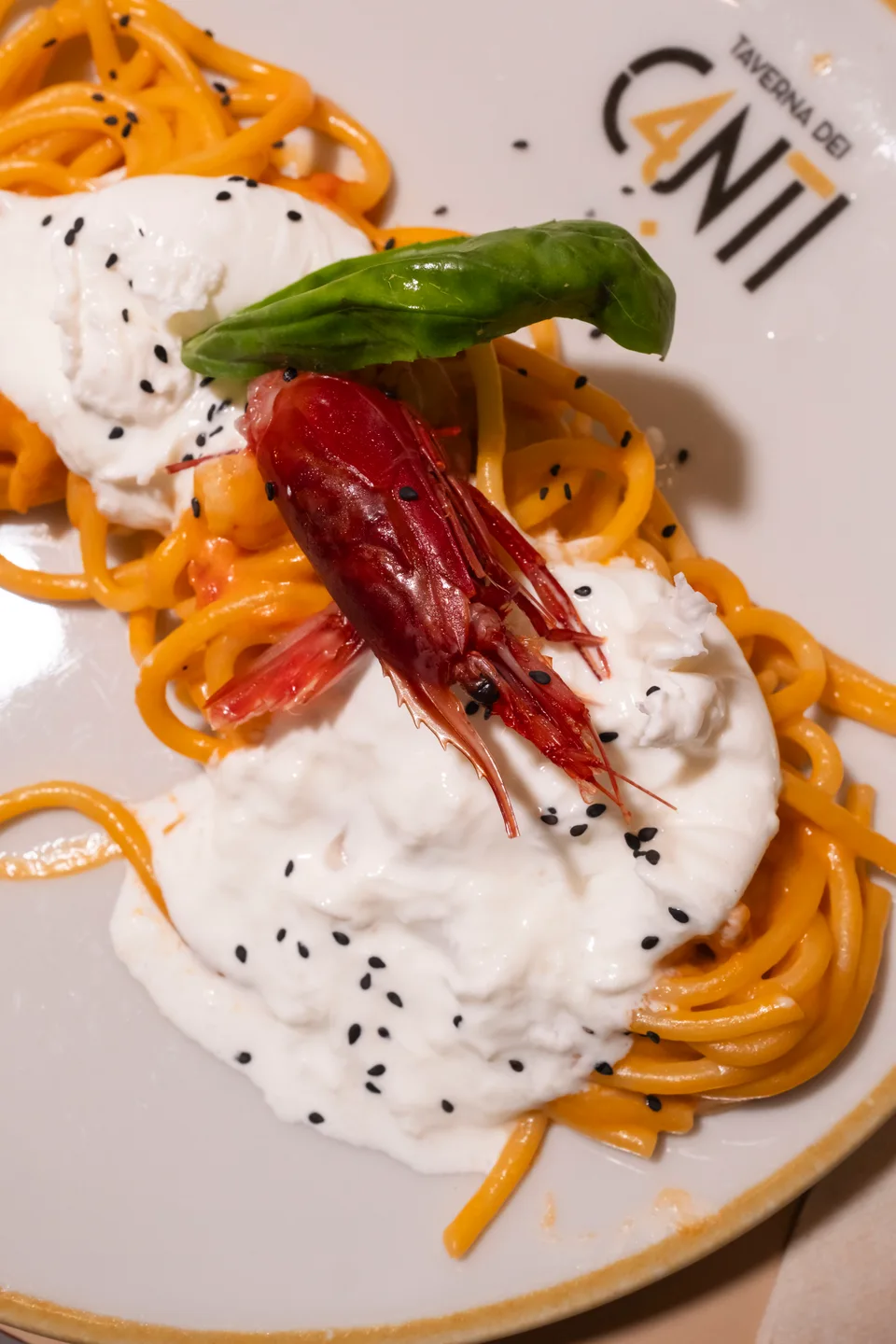 Piatto di pasta fotografato per un’attività di ristorazione